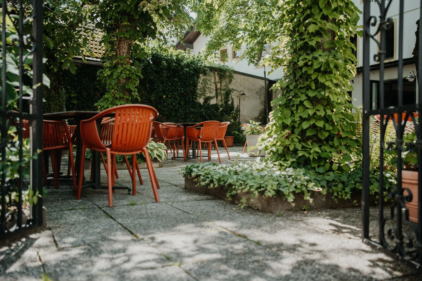 Sonniger Eingang zum grünen Biergarten mit roten und orangefarbenen Stühlen
