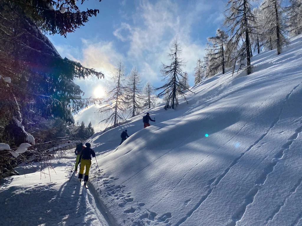 Skupina skialpinistů při výstupu zasněženým lesem