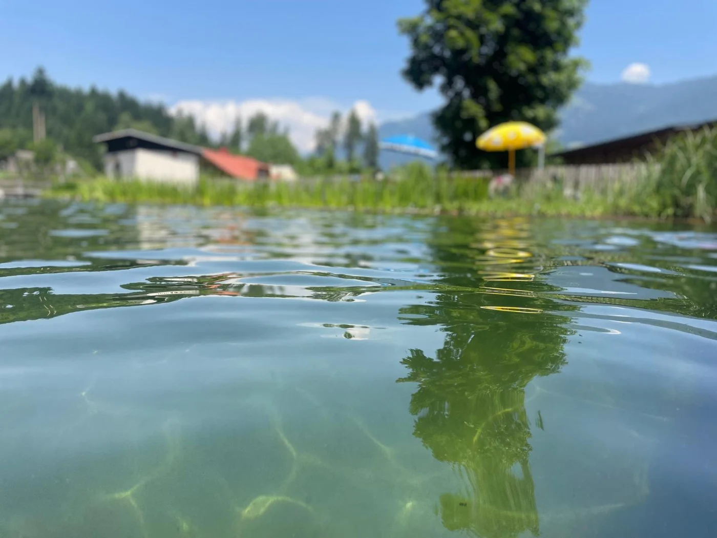 Letní pohled přes vodu na koupališti Waldbad Mauthen