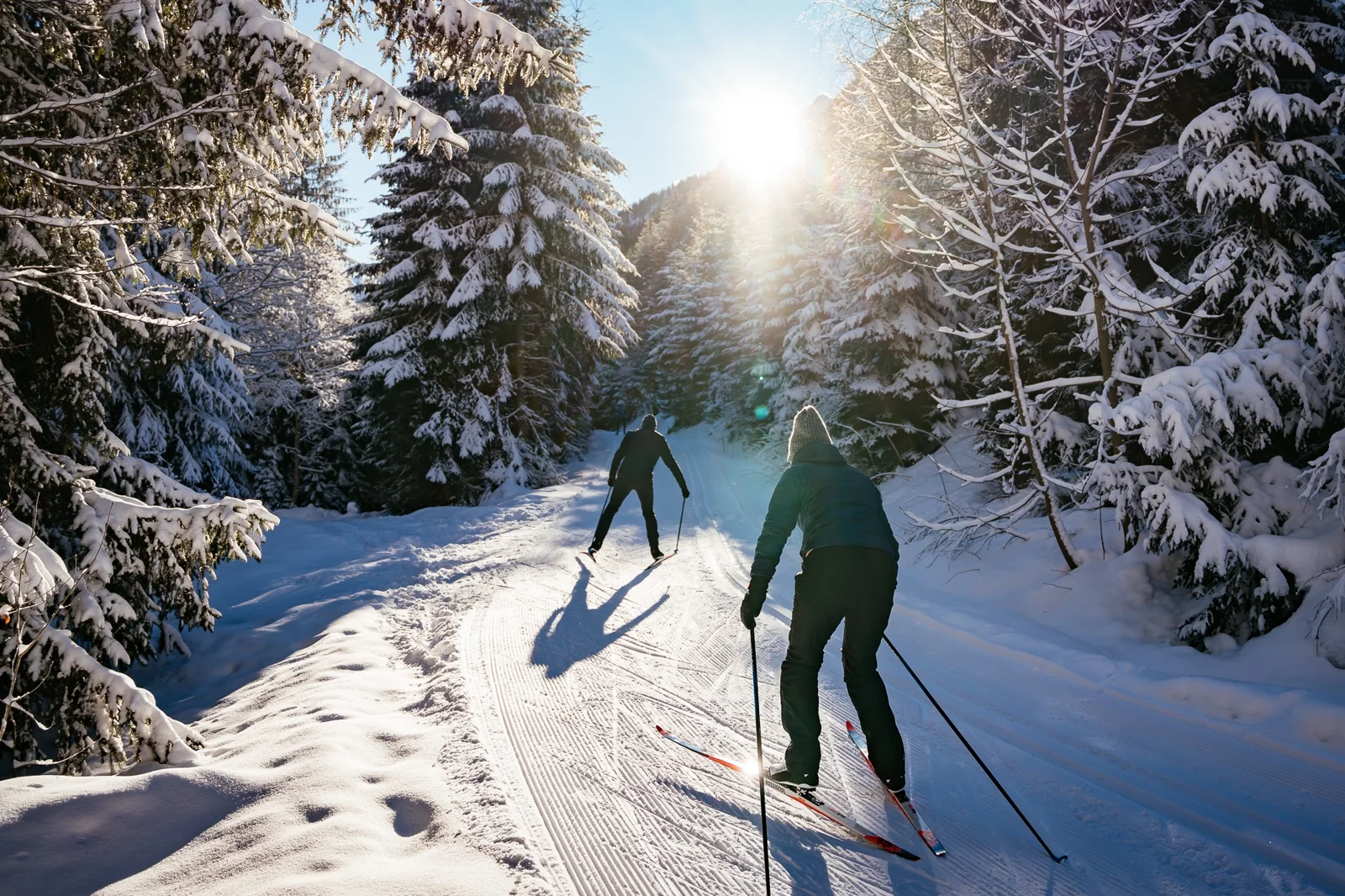 Langläufer im verschneiten Wald im Sonnenlicht